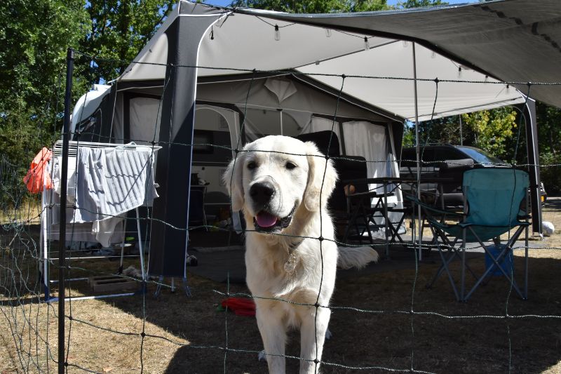 Ein Zaun um den Stellplatz: Ein echter Geheimtipp für Urlaub mit Hund!