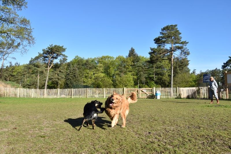 Großer Auslaufbereich zum Spielen im Recreatiepark Samoza