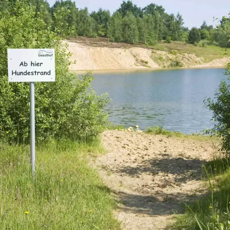 Urlaub mit Hund: Im Ferienpark Geesthof können Hunde nach Herzenslust am Strand toben und im Wasser spielen.