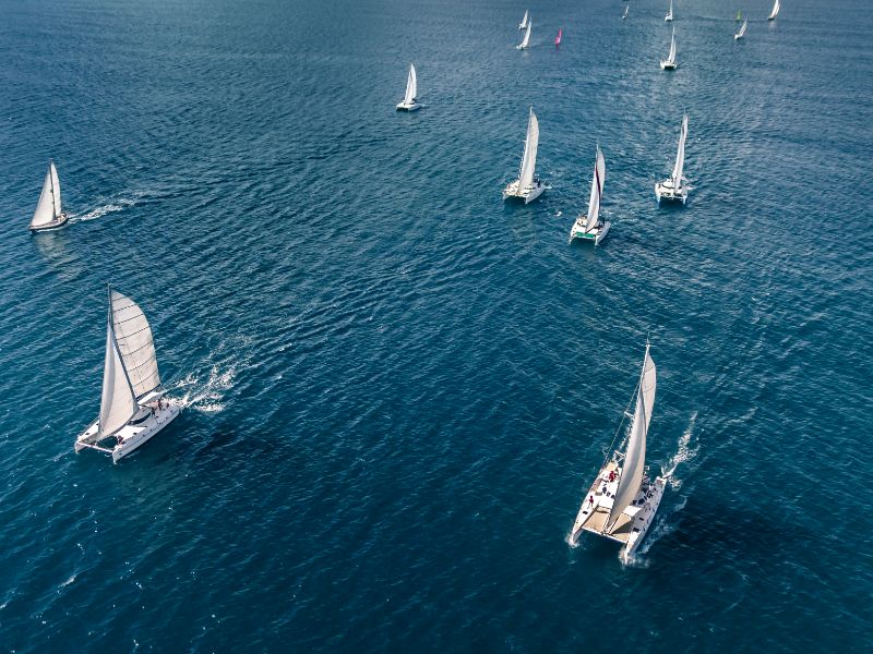 Viele weiße Regatta-Segelboote im Wasser