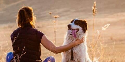 Geheimtipp für Urlaub mit Hund