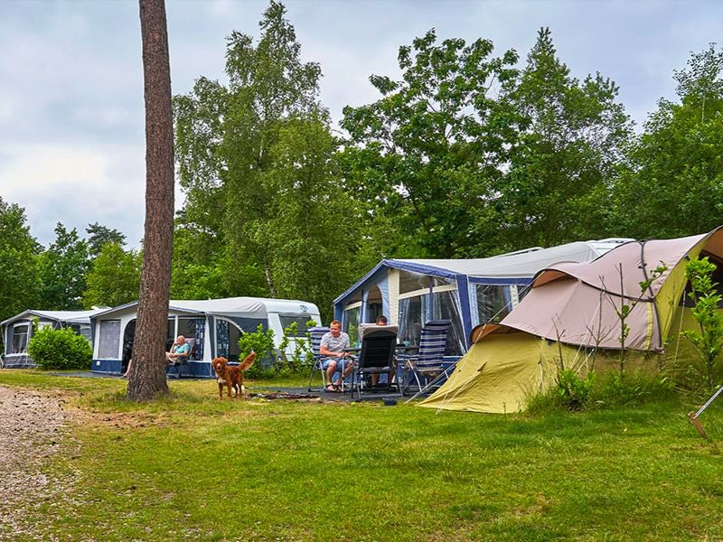 Die 10 besten Campingplätze der Niederlande: Camping Het Lierderholt