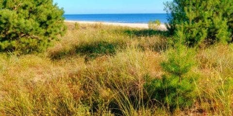 Entlang der Ostsee: Den perfekten Campingplatz am Meer finden