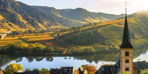 Urlaub an der Mosel: Wandergenuss und Romantik