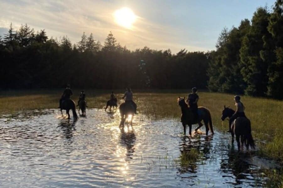 Reiter zu Pferd, die durch ein flaches Gewässer reiten