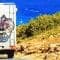 Mit dem Wohnmobil nach Sardinien: Überfahrt, Highlights und praktische Tipps