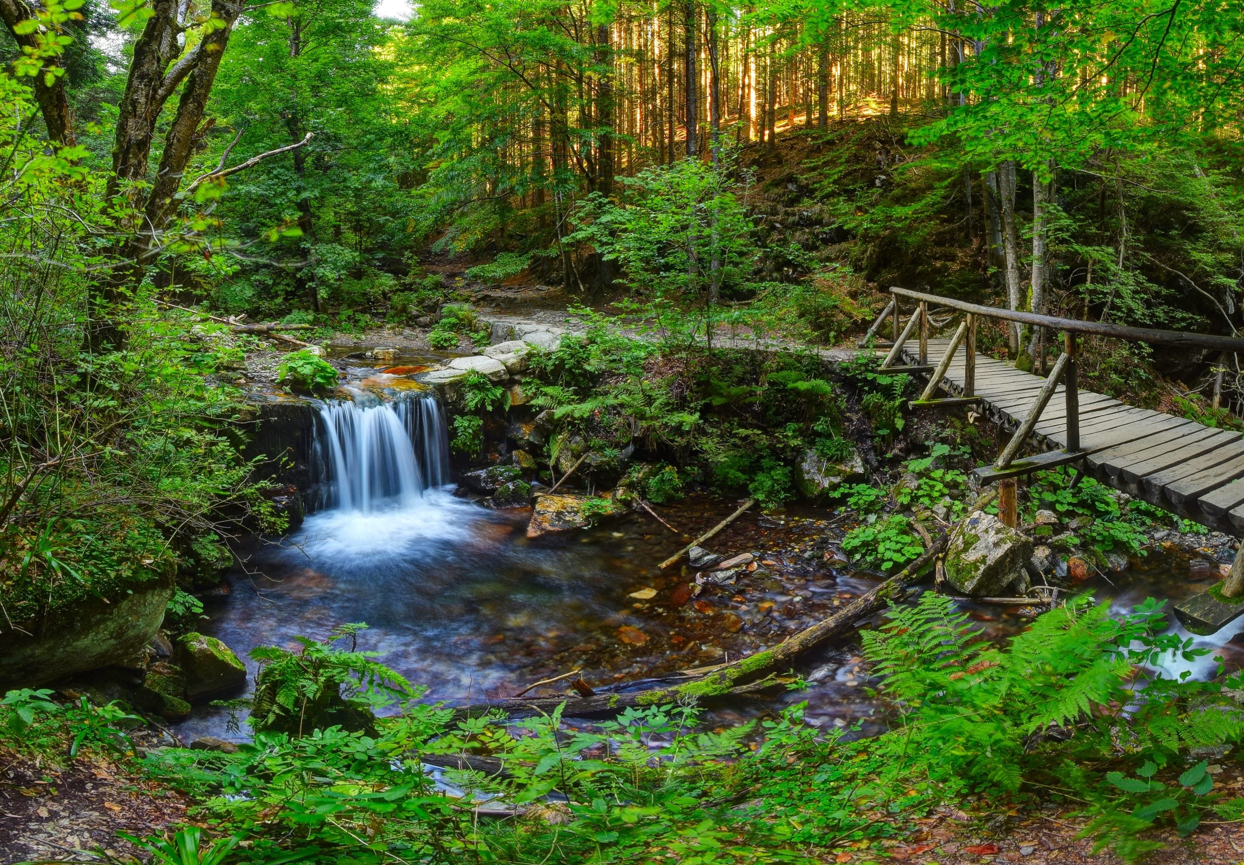 Bilá Opava rivier