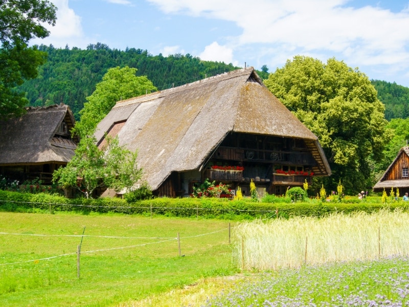 Das Freilichtmuseum Vogtsbauernhof im Schwarzwald