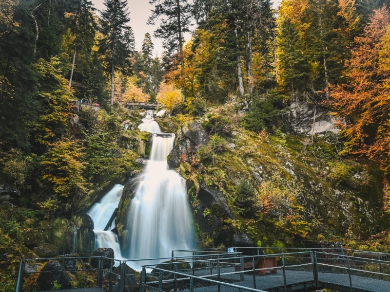 Die Wasserfälle von Triberg sind ein echtes Highlight.