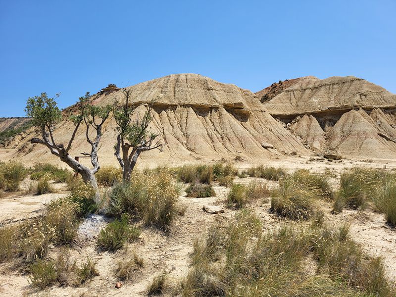 Roadtrip Nordspanien, Bardenas Reales