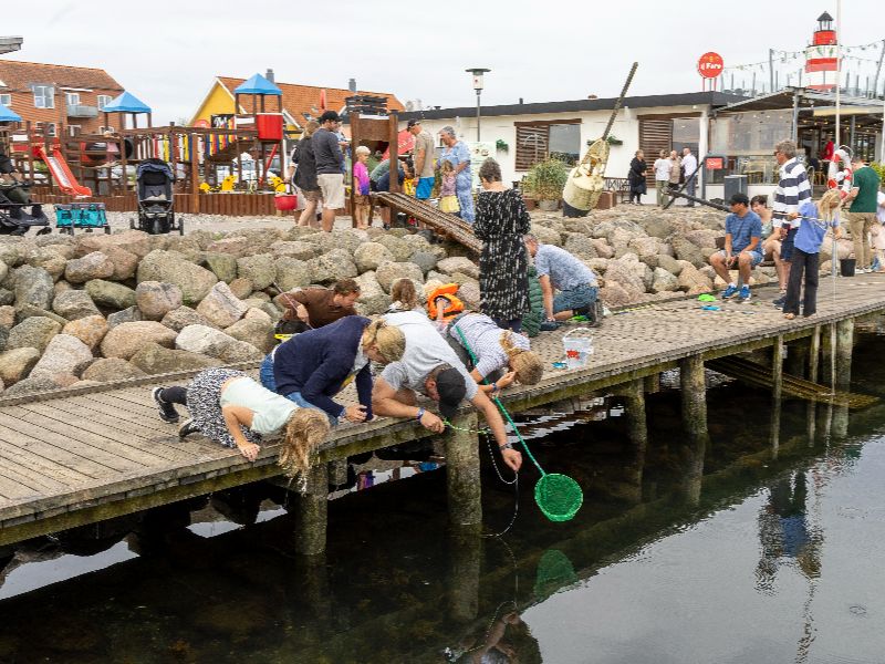 Krabbenfischen: eine typisch dänische Aktivität für die ganze Familie. Die Rienhoffs knieen auf dem Steg, mit Angelausrüstung und blicken in das Wasser.