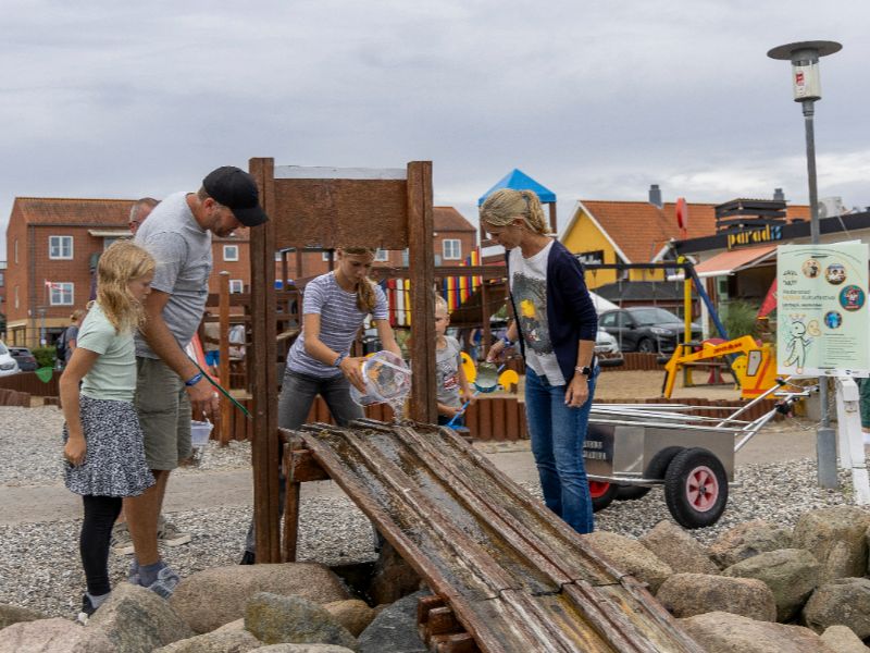 Die Rienhoffs beim Krabbenwettrennen vor der hölzernen Wettstrecke für die gefangenen Krabben
