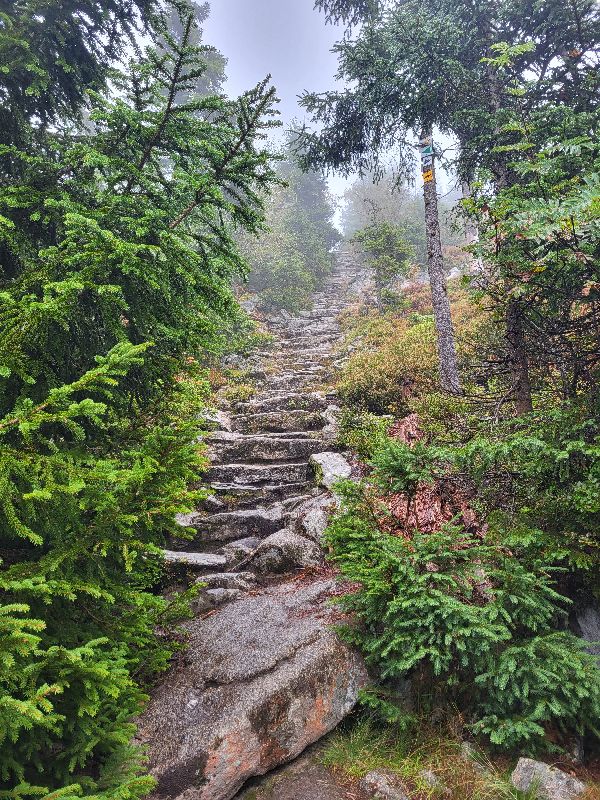 Himmelsleiter im Bayerischen Wald