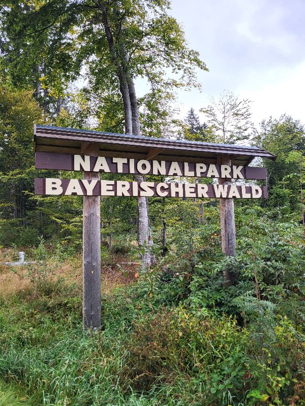 Natur im Bayerischen Wald