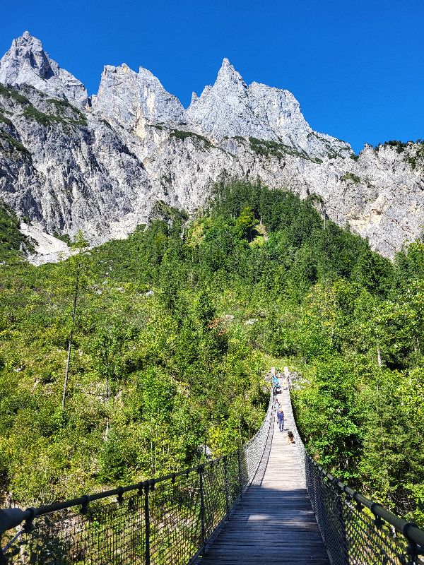 Hängebrücke im Klausbachtal