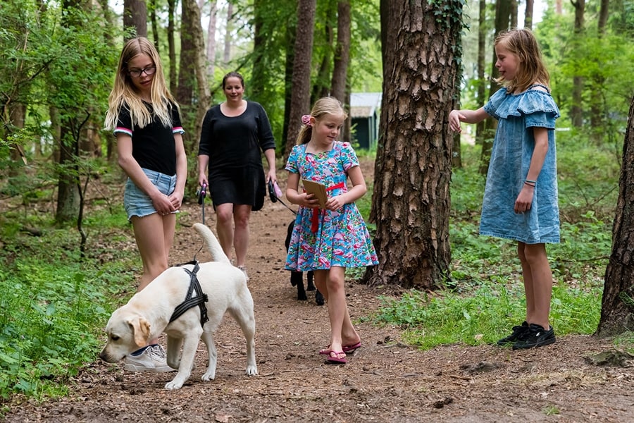 Kinder spielen mit Hund auf Ardoer Camping Torentjeshoek