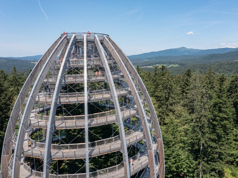 Baumwipfelpfad im Bayerischen Wald