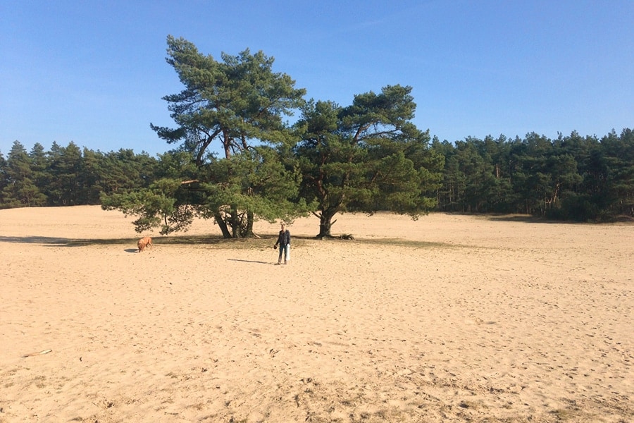 Spaziergänge mit Hund am Kootwijkerzand nahe Recreatiepark Samoza