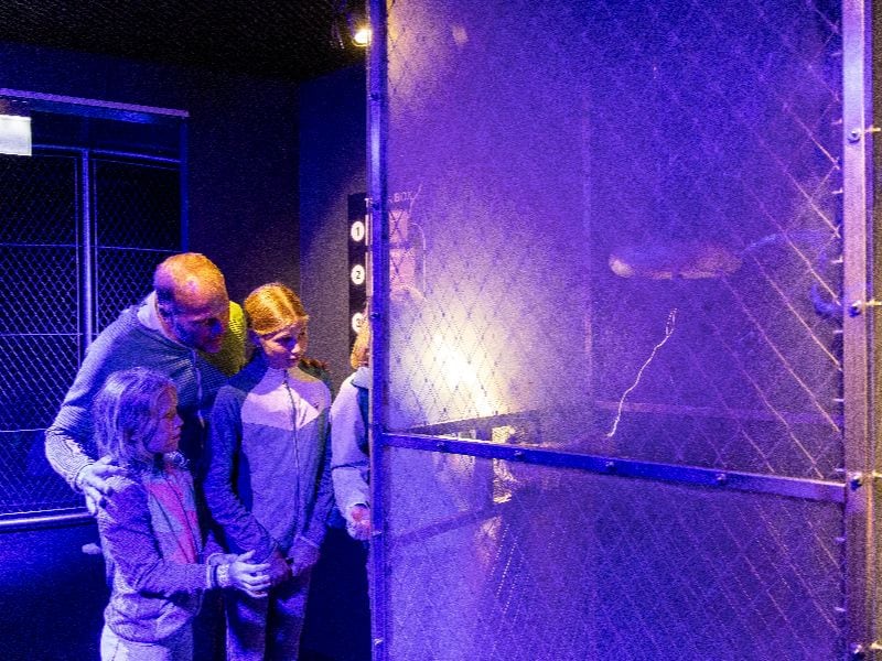 Die Rienhoffs bewundern einen Handschuh, der vom Blitz getroffen wird.