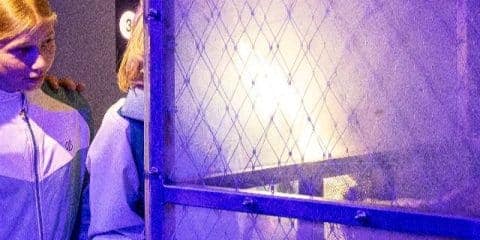 Unterwegs in Sønderjylland: Der Universe Science Park