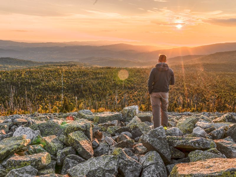Landschaft im Bayerischen Wald