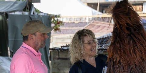 Abwechslungsreicher Tag in Horsens