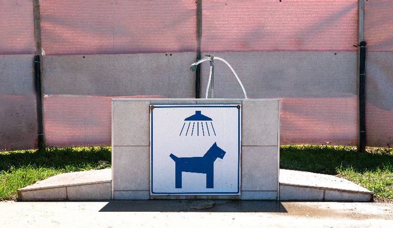 Campingplatz mit Hundedusche