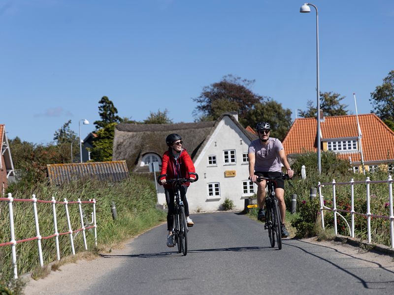 Maja und Felix fahren bei strahlendem Sonnenschein vor typisch dänischen Häusern entlang
