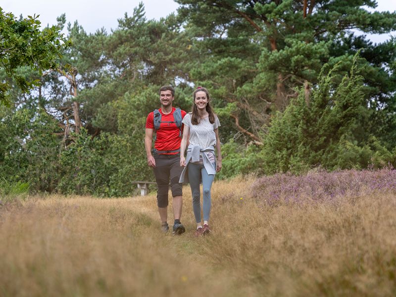 Maja und Felix wandern durch Weidelandschaft in Dänemark