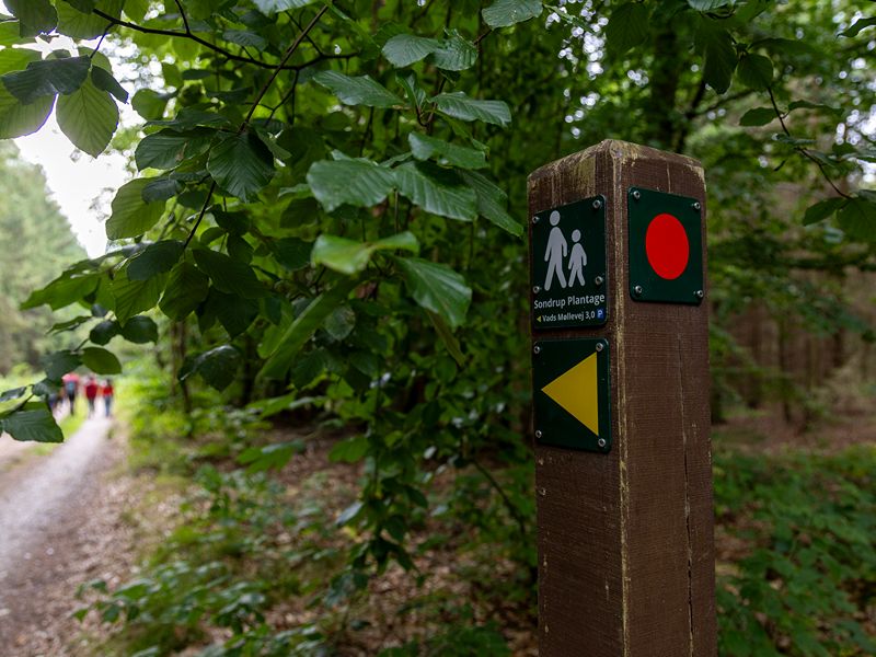 Holz mit roter und gelber Wandermarkierung