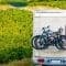 Roadtrip durch Burgund: Genuss, Kultur und überraschende Entdeckungen