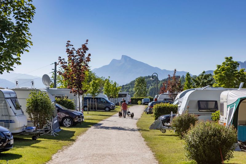 Campingplatz auf dem Camp MondSeeLand mit Wohnwagen und Wohnmobilen, vor dem Hintergrund der Berge und einem Wanderer mit Hunden auf dem Weg