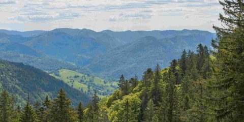 Mit dem Wohnmobil durch den Schwarzwald: Eine unvergessliche Route