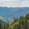 Mit dem Wohnmobil durch den Schwarzwald: Eine unvergessliche Route