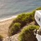 Solaranlage im Wohnmobil nachrüsten: 5 Tipps für den Einstieg