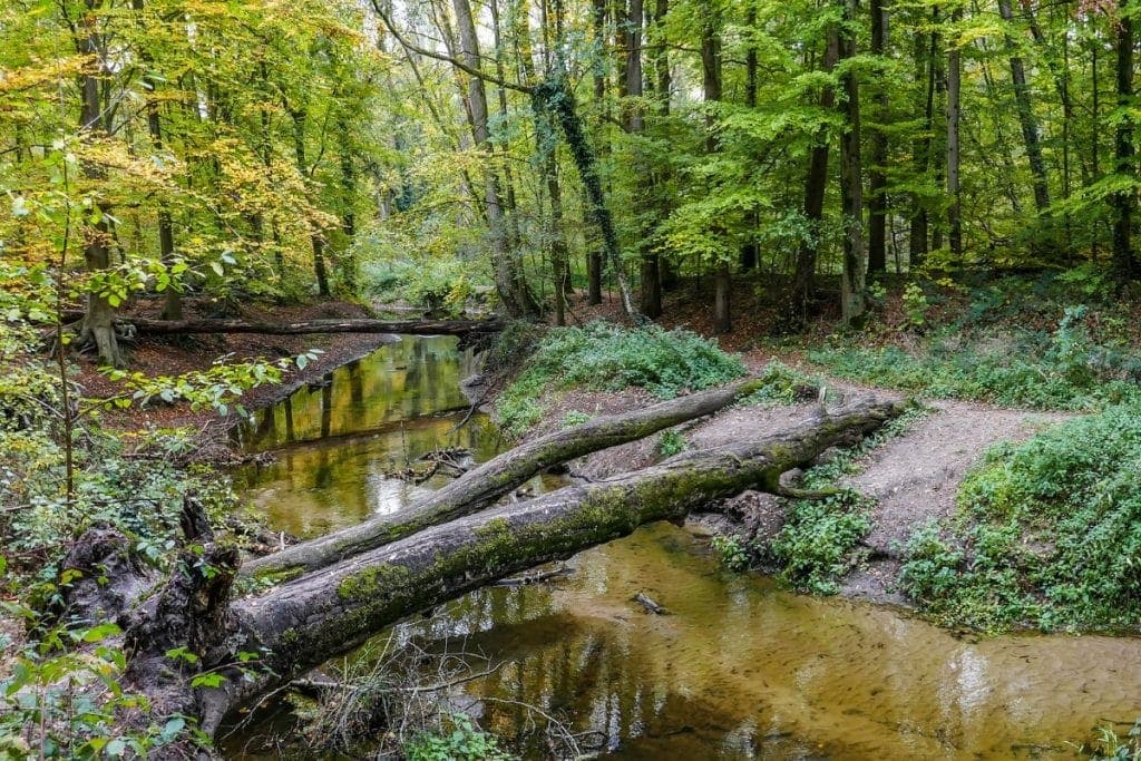 bos-Bekendelle-Achterhoek