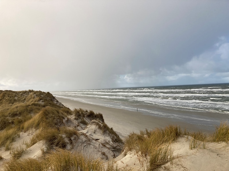 Dünen auf Terschelling vor wolkigem Himmel