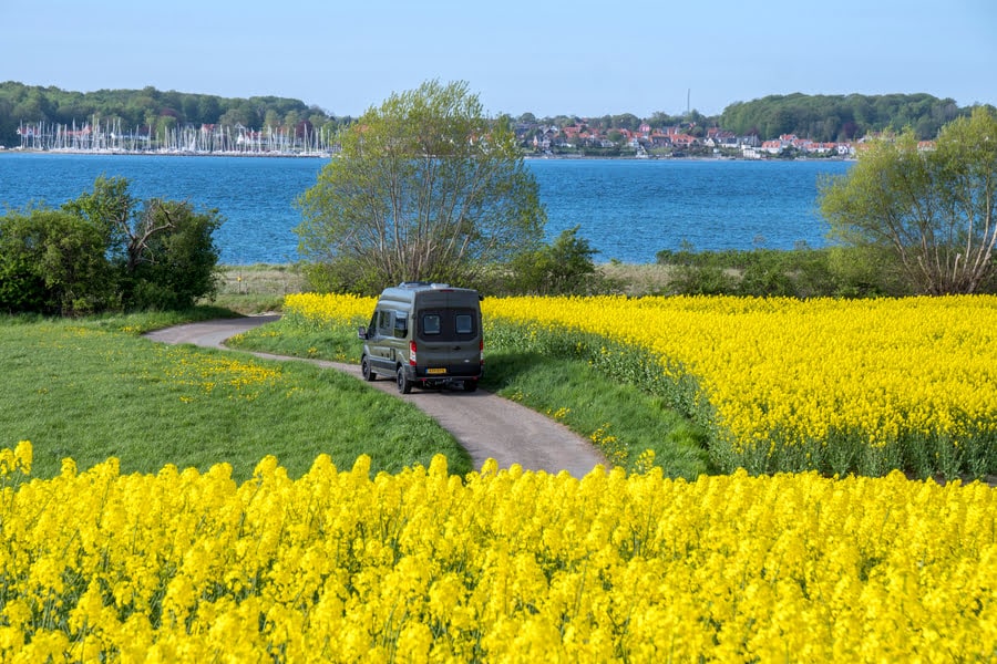 Wohnmobil entlang gelber Felder am Wasser