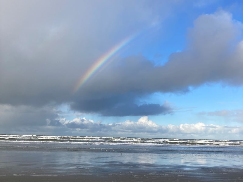 Regenbogen über der Küste vor Terschelling
