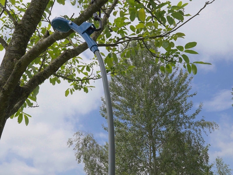 Duschkopf in den Bäumen