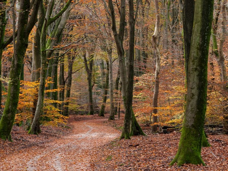 Schöne Reiseziele für den Herbst in den Niederlanden