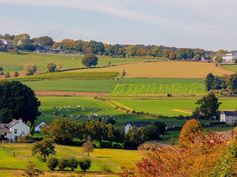 Schöne Reiseziele für den Herbst in den Niederlanden Südlimburg